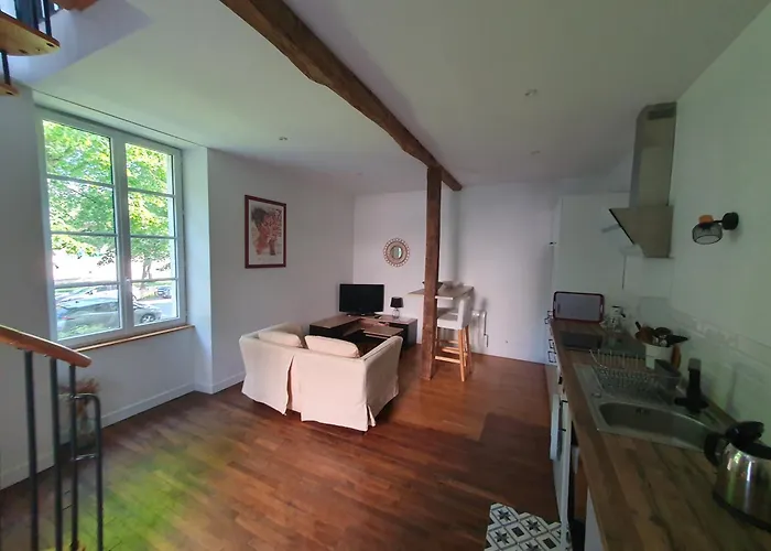 T2 Duplex Avec Terrasse Au Bord Du Clain Apartmán *