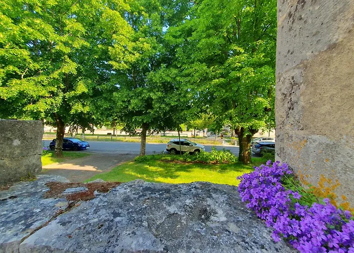 T2 Duplex Avec Terrasse Au Bord Du Clain Apartment