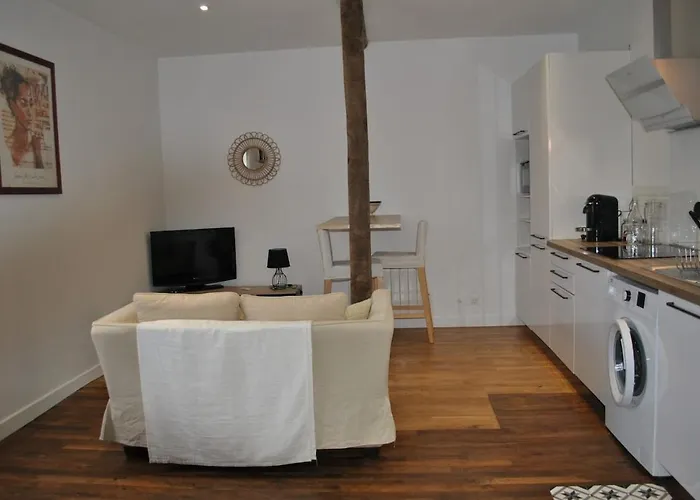 T2 Duplex Avec Terrasse Au Bord Du Clain Poitiers