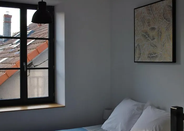 T2 Duplex Avec Terrasse Au Bord Du Clain Apartment Poitiers